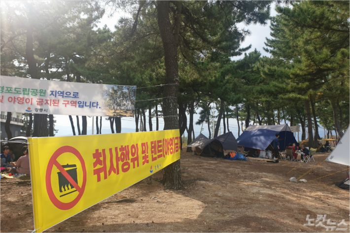 강릉 사천해변 인근 송림에 야영과 취사행위를 금지하는 현수막이 곳곳에 붙어 있다. 전영래 기자