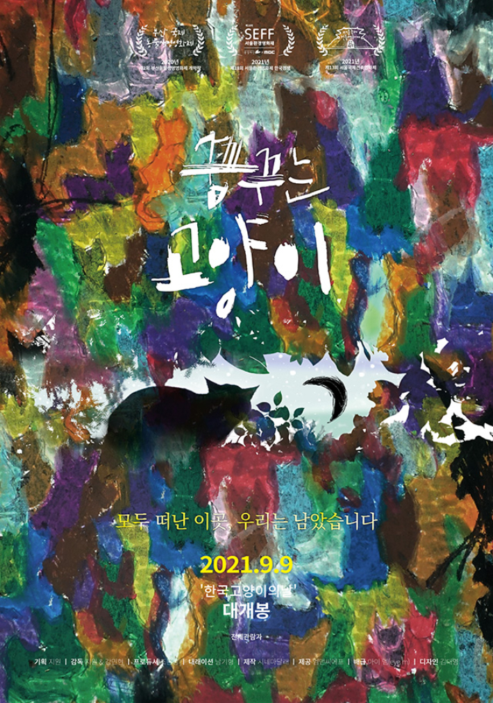 다큐멘터리 '꿈꾸는 고양이' 메인 포스터. ㈜엠앤씨에프·아이 엠(eye m) 제공