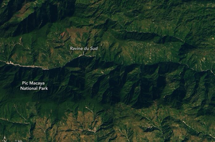 올해 1월 2일에 찍힌 픽 마카야 국립공원.  NASA 제공