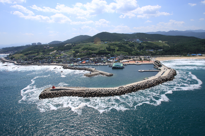 강원 동해시 대진항 전경. 동해시 제공