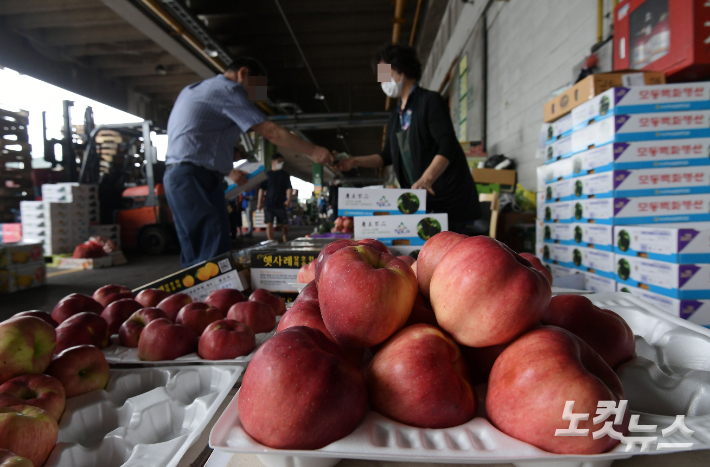 12일 서울 송파구 가락농수산물시장에서 시민들이 과일을 구매하고 있다. 이한형 기자