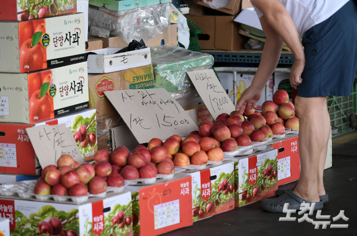 서울 송파구 가락농수산물시장에서 시민들이 과일을 구매하고 있다. 이한형 기자