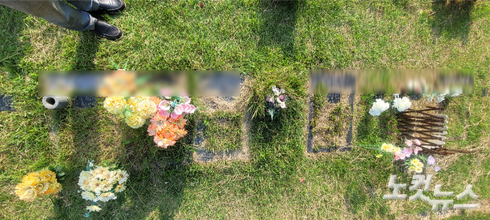 4년 전 아빠의 학대로 사망한 한살 배기 A군이 잠들어 있는 경기도 시흥의 한 공설묘지. 다른 묘소와 달리 수풀이 무성하게 자라 고인의 이름이 적힌 비석을 확인하기 힘든 모습이다. 박창주 기자