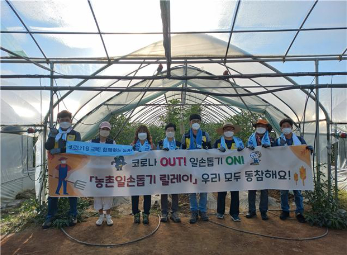 24일 강원도청 농정국 직원들이 춘천의 한 농가를 찾아 농촌 일손 돕기 릴레이를 펼쳤다. 강원도 제공 