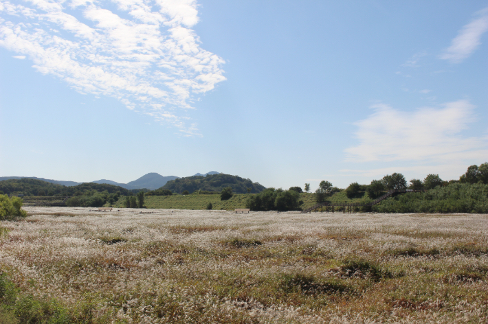 대명유수지 전경. 대구 달서구 제공