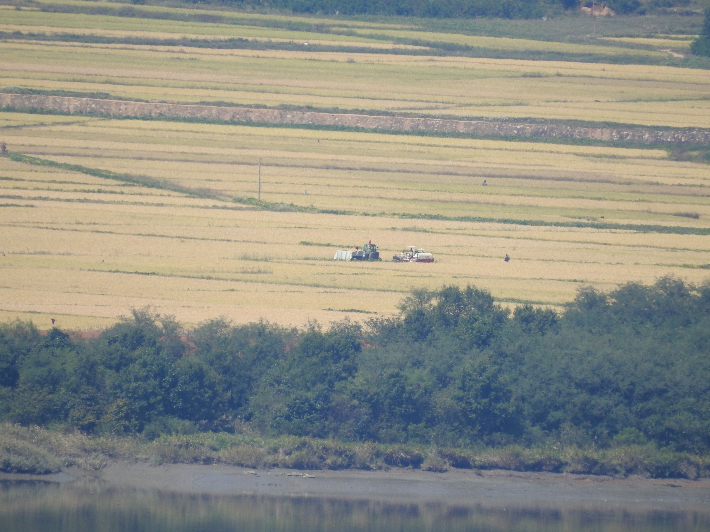 북한 황해도 개풍군 관산반도 들판에서 트렉터에 곡물이송용 트레일러를 달아 탈곡한 나락을 옮기고 있다. 통일전망대=경상국립대 박종철 교수 제공