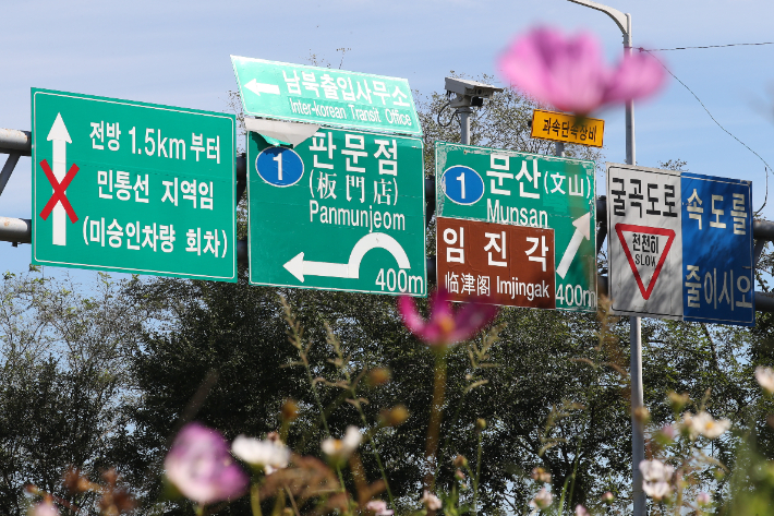  지난달 26일 경기도 파주시에서 판문점으로 이어진 도로에 코스모스가 활짝 피어 있다. 연합뉴스