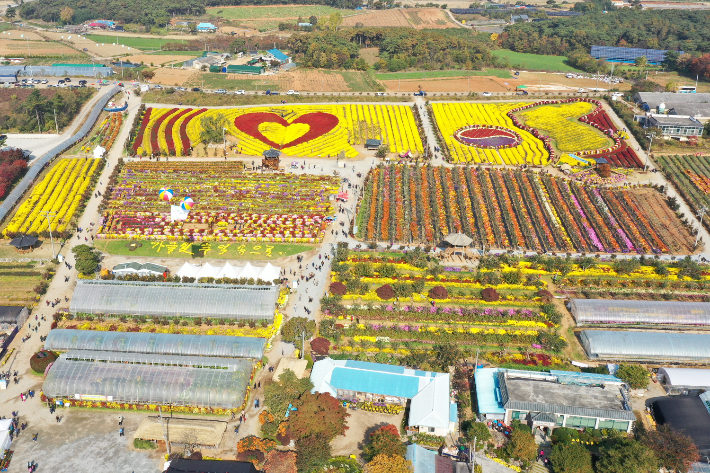 2019년 서산국화축제 모습. 서산시 제공