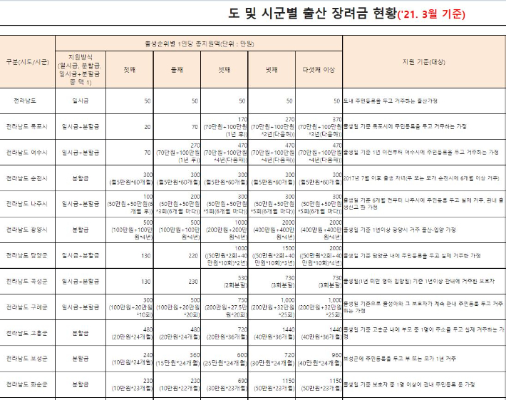 2021년 전남도 출생정책 일부. 전남도 홈페이지 제공 