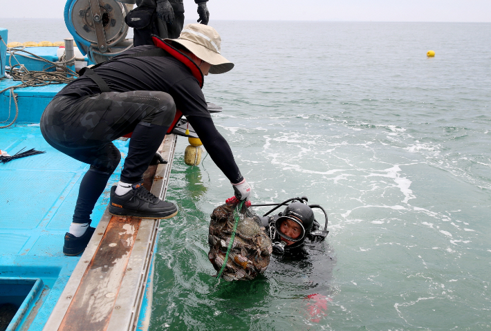 태안군 꽃게 산란장 조성 사업. 태안군 제공