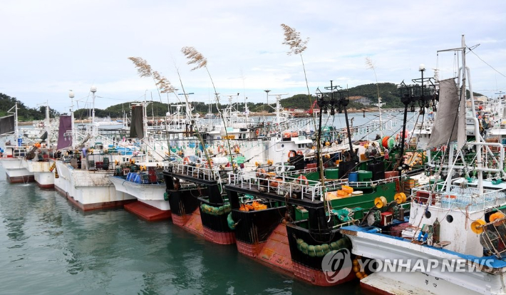 오징어잡이 어선. 연합뉴스