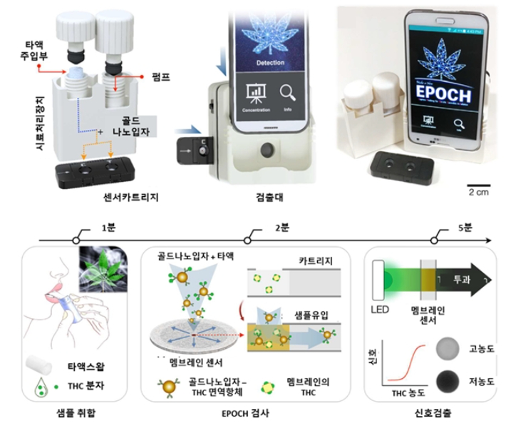 EPOCH 기술을 이용한 마리화나 검출 과정. 기초과학연구원 제공