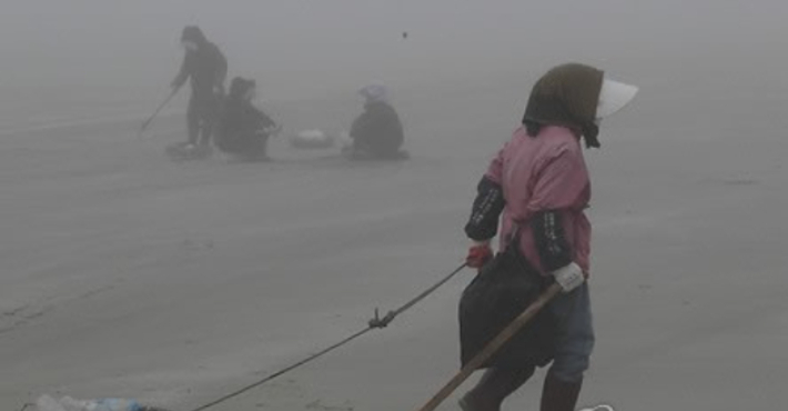 해무가 짙게 낀 인천시 옹진군 백령면 사곶해변에서 주민들이 해안가 쓰레기를 줍는 공공근로를 하고 있다. 연합뉴스