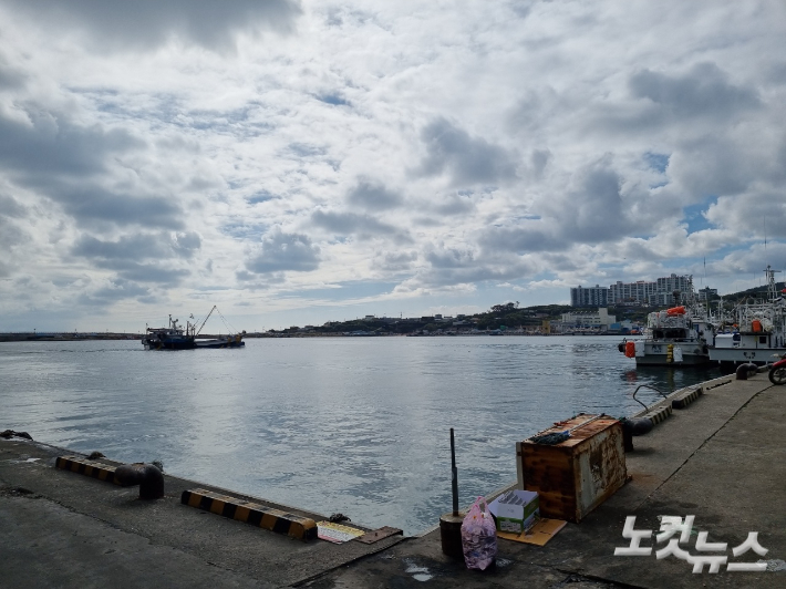 포항 구룡포항 모습. 김대기 기자