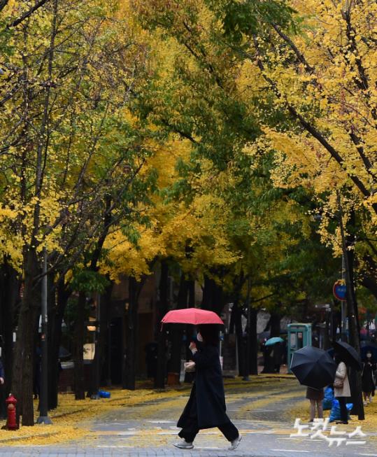 노란 은행나무 아래 빨간 우산