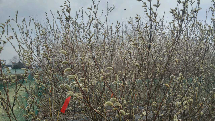 국립산림과학원 제공