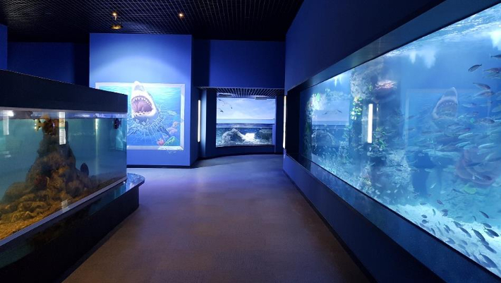 전남해양수산과학관 제공