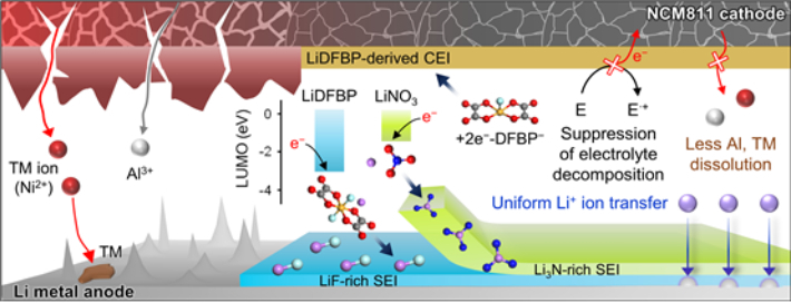 LiDFBP와 LiNO3 첨가제 도입에 의한 리튬금속 음극 이중층 계면막 형성과 니켈리치 양극 계면막 형성에 대한 모식도  (좌측) 기능성 첨가제가 도입되지 않았을 경우 리튬금속 음극에서 수지상 리튬이 형성되며 니켈 양극에서는 전이 금속(Ni2+)과 알루미늄(Al3+) 용출이 발생한다.  (우측) 전자 받음 경향성에 따른 2종 이온성 첨가제(LiDFBP + LiNO3)의 순차적 환원분해반응이 안정한 고체전해질 이중층 계면막을 형성하여 덴드라이트 형성을 억제하고 리튬 이온수송을 원활하도록 도와주는 두 가지 기능을 수행함을 나타낸 것이다. 또한 리튬음극표면에서의 강한 흡착력을 가지는 LiDFBP의 경우 2전자 환원반응을 통해 안정한 양극 계면막을 형성하여 전이 금속과 알루미늄 용출을 억제하고 고전압에서의 전해액의 산화분해를 억제한다. KAIST 제공