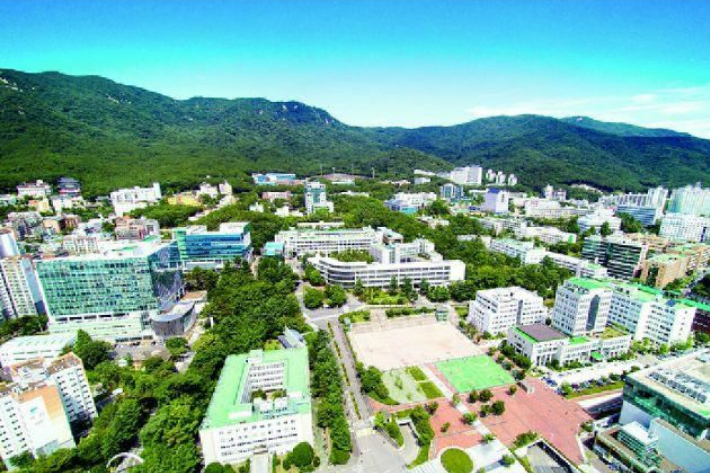 부산대 전경. 부산대 제공