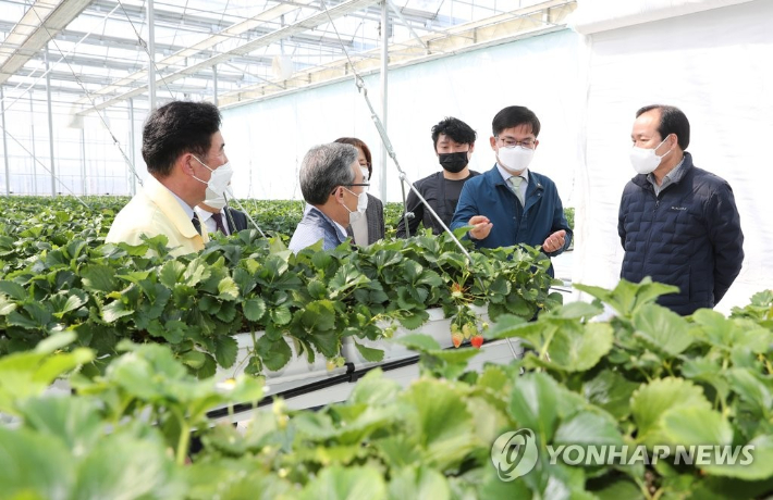 청년농업인이 운영하는 스마트팜. 연합뉴스