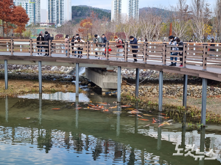 5일 오후 부산시민공원 연못에서 시민들이 잉어 떼를 구경하고 있다. 박진홍 기자