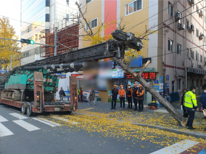 8일 부산 중구에서 굴착기에 걸린 가로수가 쓰러진 모습. 부산경찰청 제공