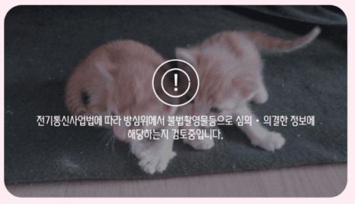 고양이 동영상을 업로드한 직후 나타난 문구라고 공유된 화면. 해당 온라인커뮤니티 캡처