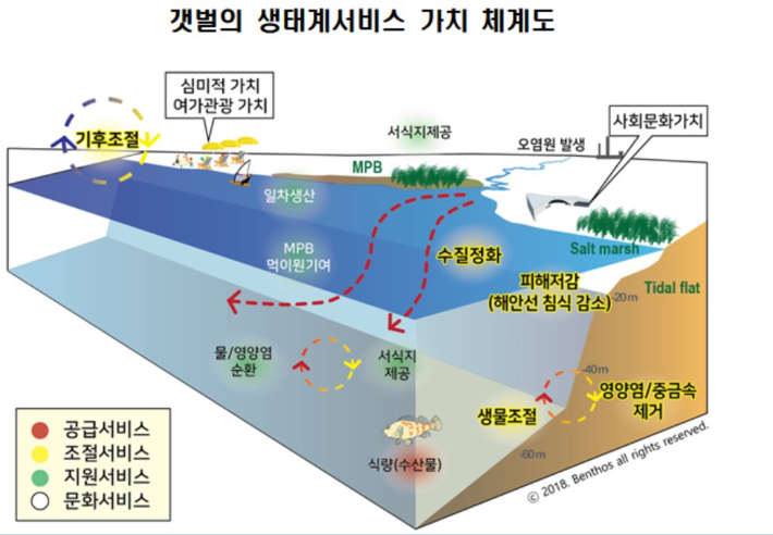 갯벌의 생태계서비스 가치 체계도. 해양수산부 제공