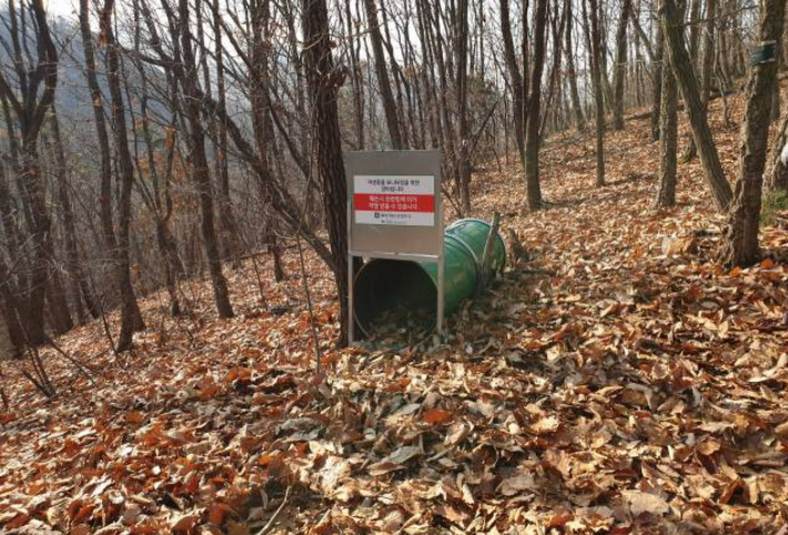 경기도 용인 곰 사육농장 인근 야산에 설치된 포획 장비(트랩) 모습. 용인시청 제공