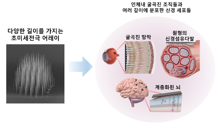 제각각 다른 깊이의 신경세포를 자극하기 위한 마이크로 니들 개념도. 한국연구재단 제공