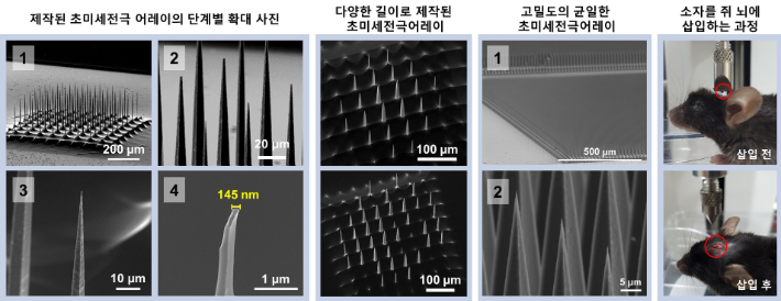 마이크로 니들의 균일도와 생쥐모델 뇌조직에의 삽입력 측정 결과. 한국연구재단 제공