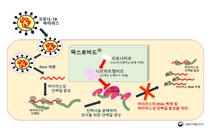 식품의약품안전처 제공 