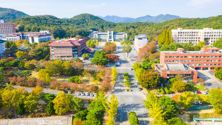 동국대학교 경주캠퍼스 전경. 동국대 제공