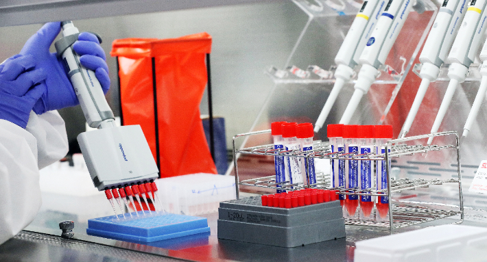 PCR 증폭 전 검체 반응시약 실험. 연합뉴스