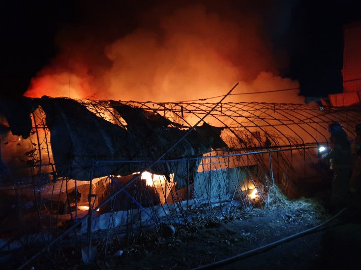 옥천소방서 제공