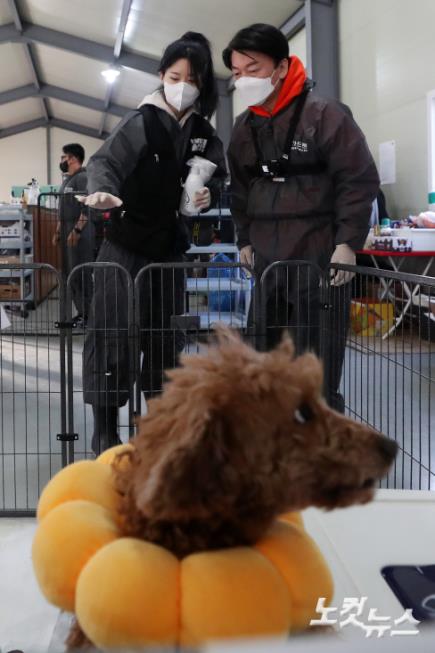 안철수를 팝니다 