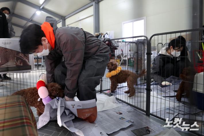 구조견 봉사활동 나선 안철수 국민의당 후보