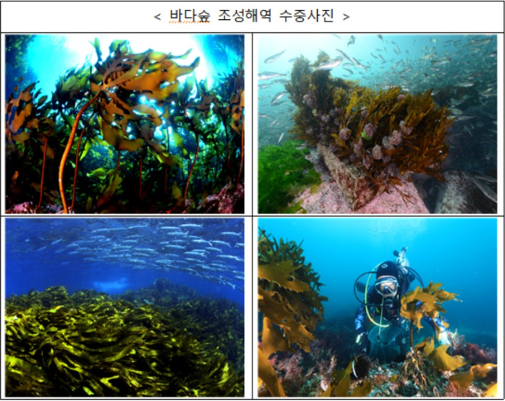 해양수산부 제공