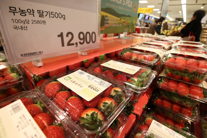 6일 서울 시내 한 대형마트에 진열된 딸기. 연합뉴스
