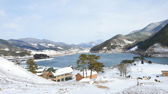 인스타그램 핫플레이스으로 떠오른 구례 지리산치즈랜드. 구례군 제공