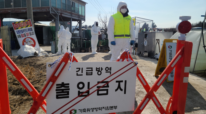 고병원성 AI 의심사례 발생한 김제 오리농장. 연합뉴스