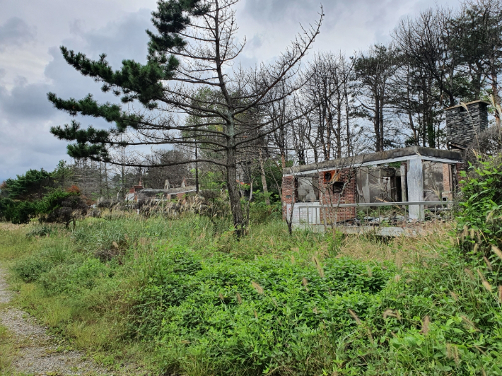 불에 탄 영랑호리조트 별장형 콘도가 흉물스럽게 방치돼 있는 모습. 속초시의회 강정호 의원 제공