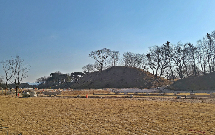 '경주월성 복원·정비사업'의 일환으로 궁궐 부지 내 자연발생적으로 자생한 수목이 벌채된 모습. 경주시 제공