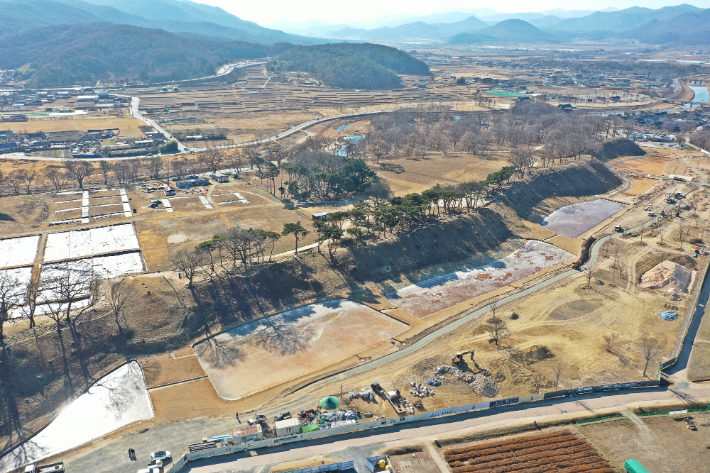 '경주월성 복원·정비사업'의 일환으로 궁궐 부지 내 자연발생적으로 자생한 수목이 벌채된 모습. 경주시 제공