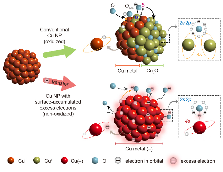 일반 구리 나노입자의 산화(위)와 전자를 과잉 축적한 구리 나노입자의 비산화(아래)를 비교한 그림. 기초과학연구원 제공