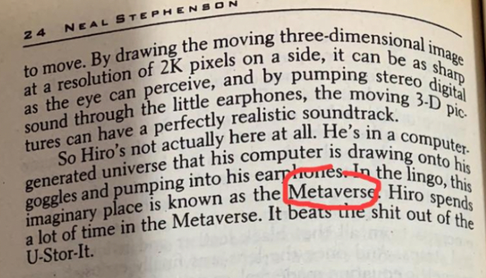 소설 '스노우 크래쉬'(Snow Crash)   