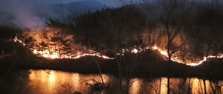 꺼지지 않는 영덕 산불. 연합뉴스