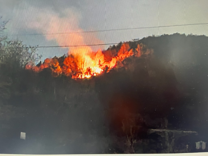 여수 호암산 산불. 전남도 제공