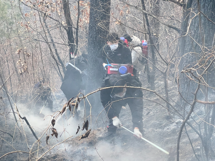 산불 현장에 투입한 진화인력. 동해시 제공