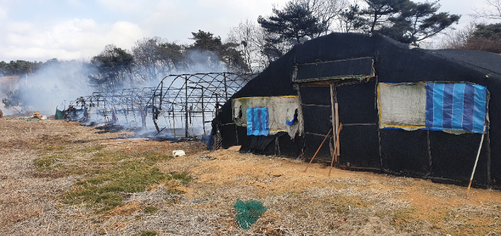 충남 보령시 양계장 화재. 보령소방서 제공